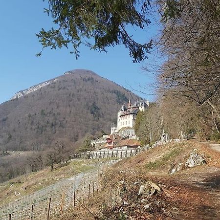 Charmant Appartement Lac D'Annecy / Ski - 6 Pers Мантон-Сен-Бернар Екстер'єр фото