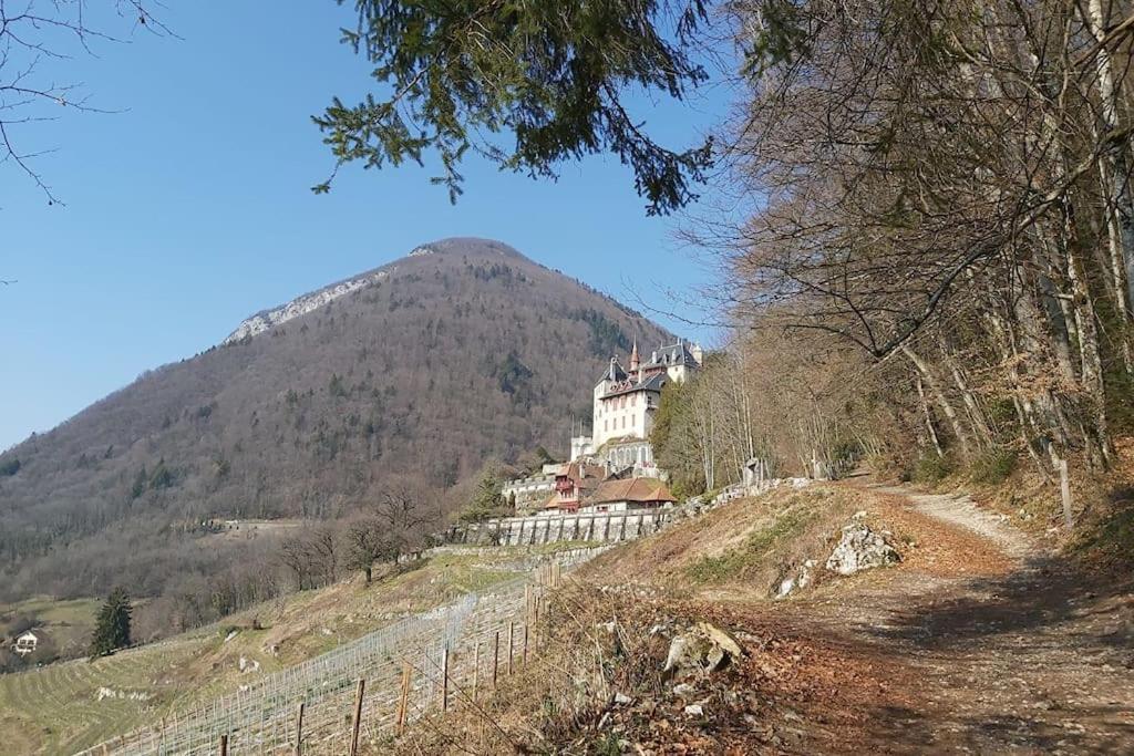 Charmant Appartement Lac D'Annecy / Ski - 6 Pers Мантон-Сен-Бернар Екстер'єр фото